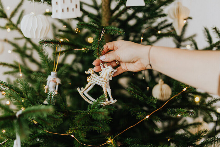 Gift an experience this Christmas