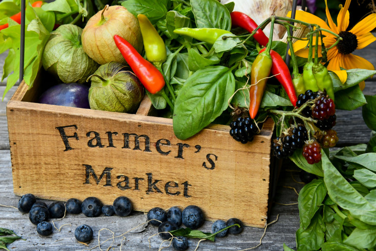 The Best Farmers Markets in South Wales