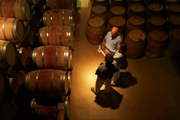 The Best Wine Tasting in South Wales