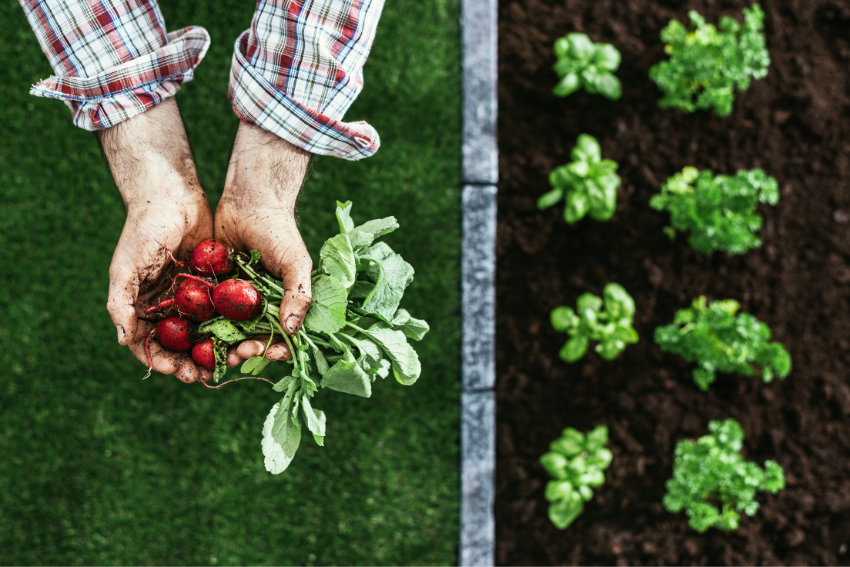 Food provenance